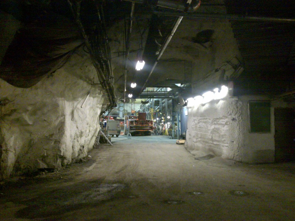 08062010295--level-775